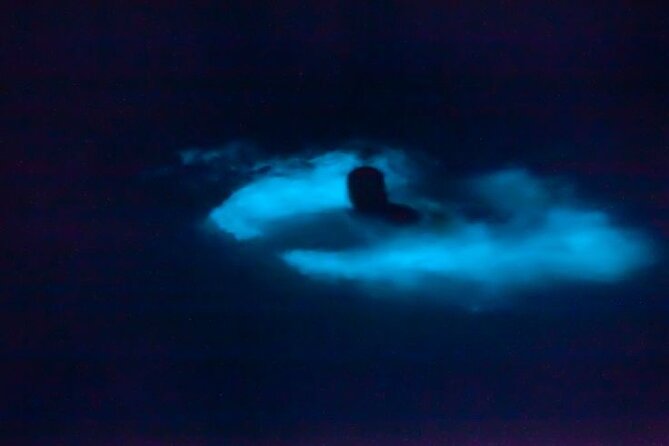 Bioluminescence & sunset local boat tour to Los Arcos Sanctuary - Getting to Margarita Grill and boarding without stress