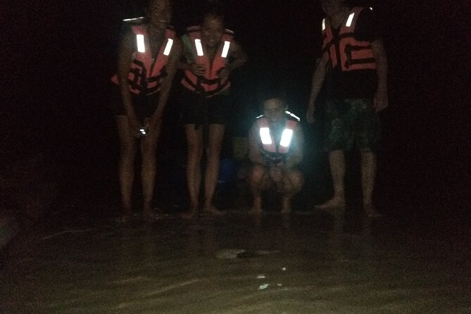 Bioluminescence Tour in Kayak in Holbox Island - Price and Value Around $50 for a 1h45 Night