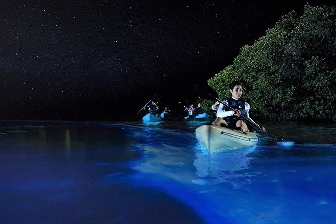 Bioluminescence Tour in Kayak in Holbox Island - Getting There and Moon Timing: Why This Tour Starts So Late