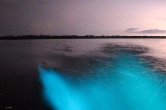Bioluminescent Night Tour - Manialtepec Lagoon at Night, with Puerto Escondido pickup that actually helps