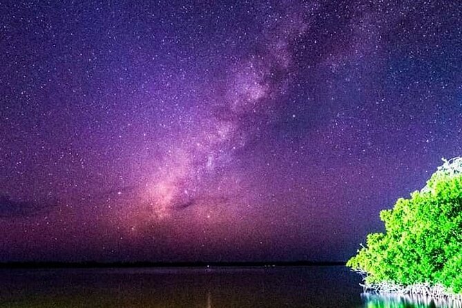 Bioluminescent Night Tour - Price and value: $115 per person, and what you are actually paying for