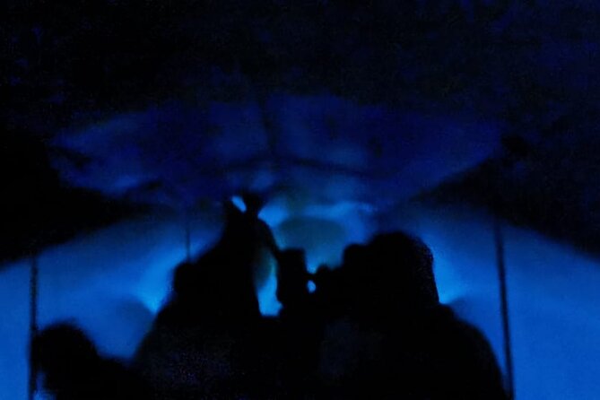 Bioluminescent Night Tour - What the small group and local guides change at night