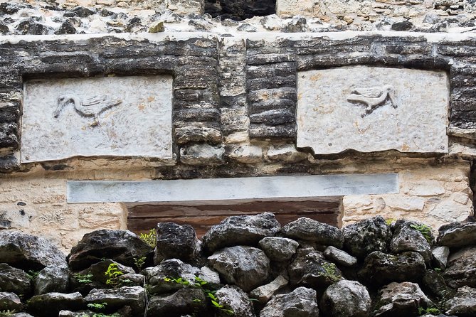 Bird Watching in Sian Ka´an Muyil - Stop 2: bird watching inside Muyil’s archaeological zone