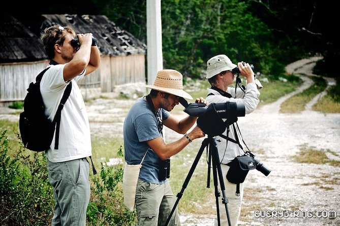 Bird Watching in Sian Ka´an Muyil - What your $119 covers, and where the extra costs hide