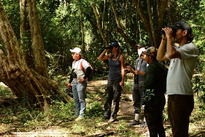 Birdwatching in Coba from Tulum - Shared Group Tour - Lunch with a local Mayan family, then a local Mexican brunch finish