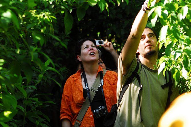 Birdwatching in Sian Ka´an Muyil from Tulum - Shared Group Tour - Stop 3 option: Lake Chunyaxche boat, canals, mangroves, and wetland birds