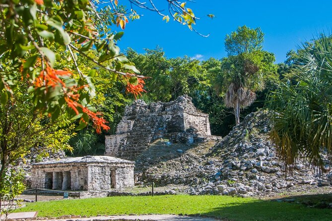 Birdwatching in Sian Ka´an Muyil from Tulum - Shared Group Tour - Guides, spotting style, and why eBird matters