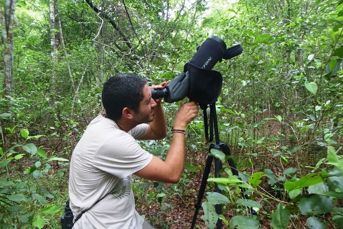 Birdwatching in Sian Ka´an Muyil from Tulum - Shared Group Tour - Price, value, and what’s extra (so you can budget without stress)
