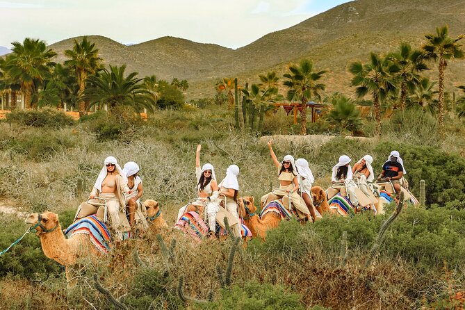 Boat Ride to the Arch and Beach Camel Ride in Cabo San Lucas - What You Really Get for $149: Value That Adds Up