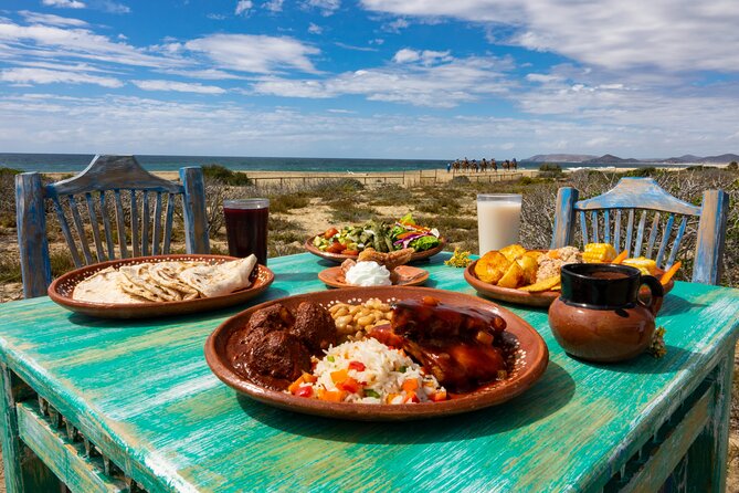 Boat Ride to the Arch and Beach Camel Ride in Cabo San Lucas - Tequila Tasting: Included, Usually Low Key