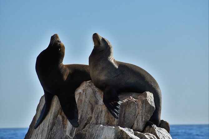 Boat ride to the Arch and Snorkel - Rock stops around Cabo’s “Land’s End”: where the views become story