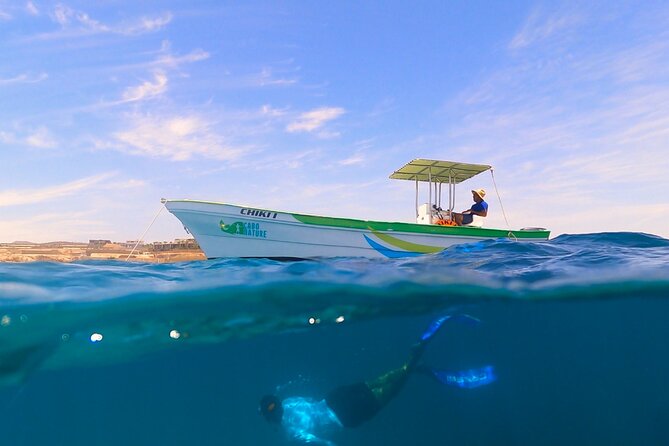 Boat ride to the Arch and Snorkel - Value check: $82.44 and what you’re really buying