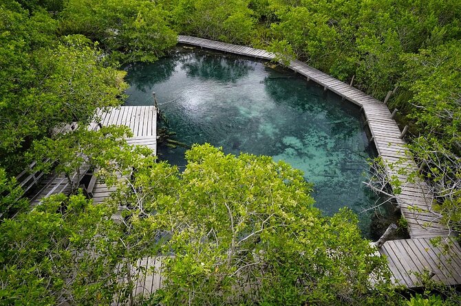 Boat Tour of Three Islands in Holbox with Transportation - Stop 3: Isla Pajaros and Bird Watching With a Conservation Lens