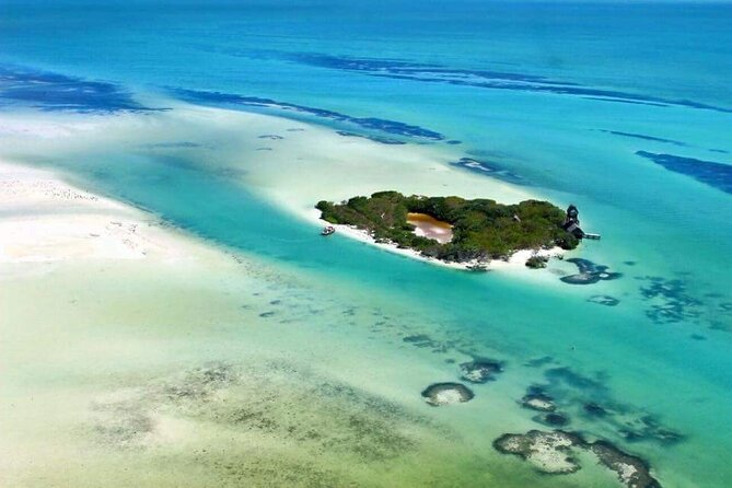 Boat Tour of Three Islands in Holbox with Transportation - Punta Mosquito, Sandbanks, and Wildlife Along the Way