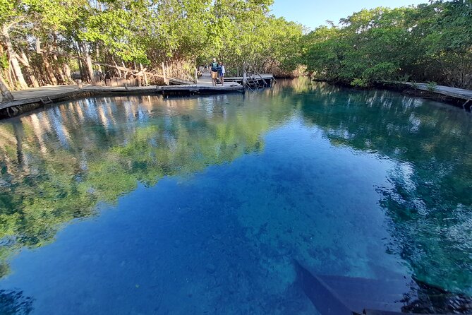 Boat Tour of Three Islands in Holbox with Transportation - Price and Value: What $41.76 Really Buys You