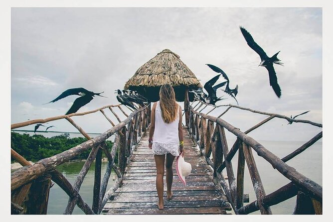 Boat Tour of Three Islands in Holbox with Transportation - The Boat Ride Around Holbox: Calm Pace, Real Wildlife Vibes