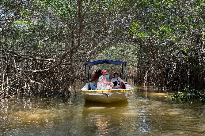 Boat tour through the mangroves of Celestún and Playa from Merida - Key highlights to know before you go