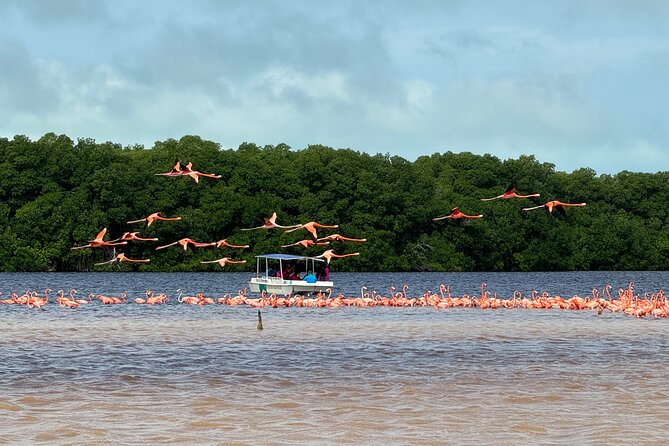Boat tour through the mangroves of Celestún and Playa from Merida - Stop 3 at La Ramada de la tía Candi: beach time plus included lunch