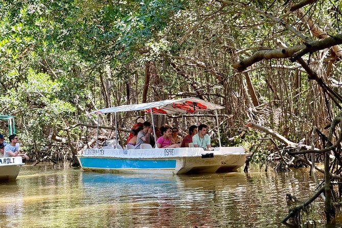 Boat tour through the mangroves of Celestún and Playa from Merida - Swimming and comfort at Celestún and Playa: how to set yourself up