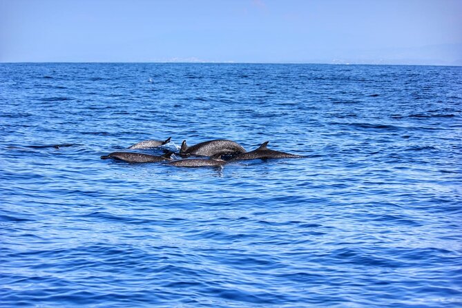 Boat Trip to See Marine Life in Puerto Escondido - Onboard Setup: Snorkeling Gear, Water, and Choppy-Water Reality