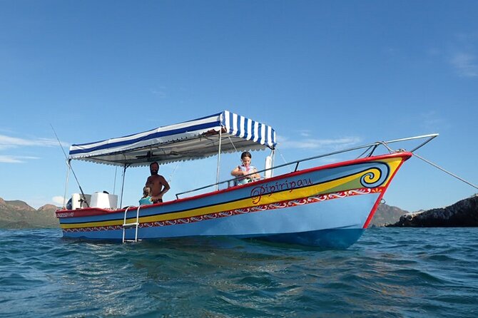 Boating along the coastline of San Carlos with a Marine Biologist - Key things that make this boat tour worth your afternoon