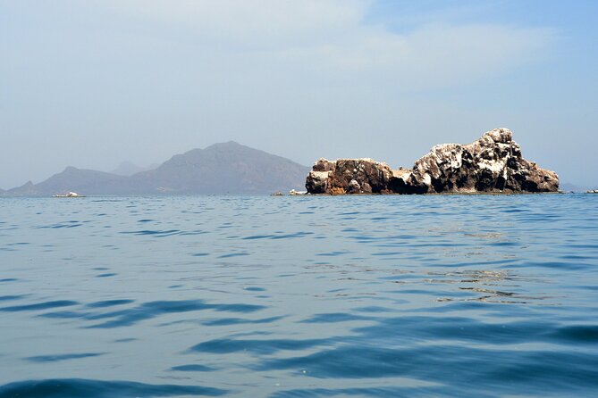 Boating along the coastline of San Carlos with a Marine Biologist - Stop 3: Isla La Raza, flat-top nesting and seabird patterns