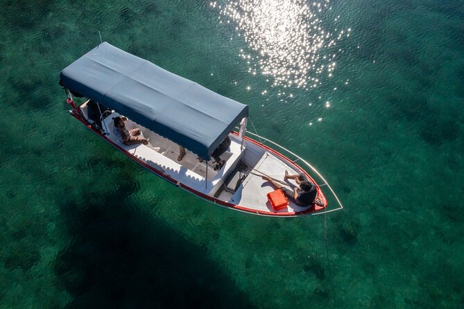 Boating along the coastline of San Carlos with a Marine Biologist - Stop 4: Bahía San Francisco, bottlenose dolphins and behavior you can watch