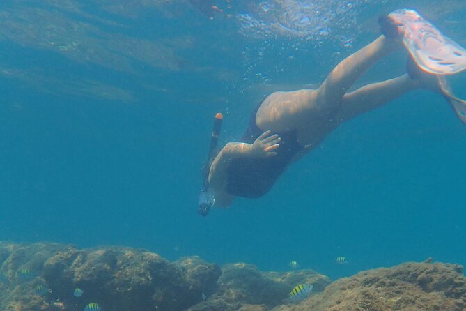 Boating along the coastline of San Carlos with a Marine Biologist - Stop 5: Playa San Francisco, ceviche first, snorkeling if conditions allow