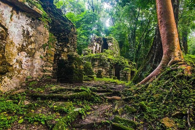 Bonampak & Yaxchilan: Hidden Maya Ruins in the Chiapas Jungle - Comfort tips for a full 14-hour jungle day