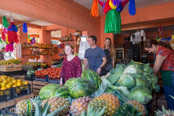 Breakfast Taco Tour with a Local Foodie - Birria tacos in two presentations, plus consomé dipping