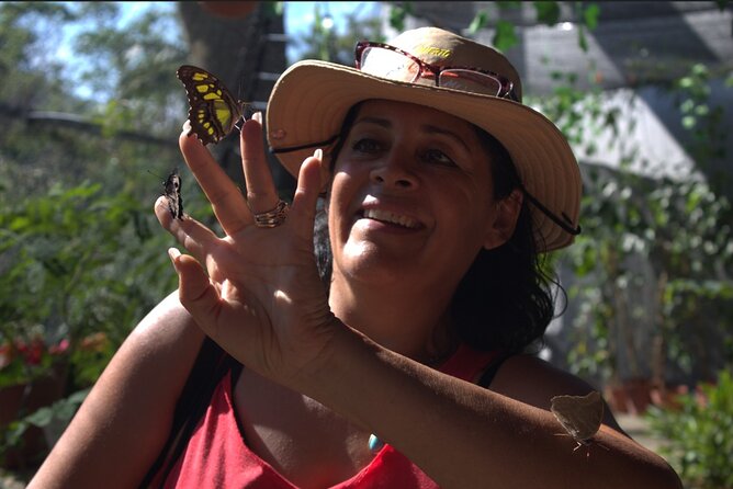 Butterflies, City tour, tequila, and beach (kids free) - Key takeaways before you go