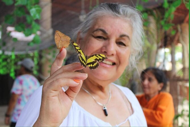 Butterflies, City tour, tequila, and beach (kids free) - Who this tour suits best