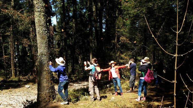 Butterfly Monarch Tour from Mexico City - Michoacan lunch: a break that feels like part of the day