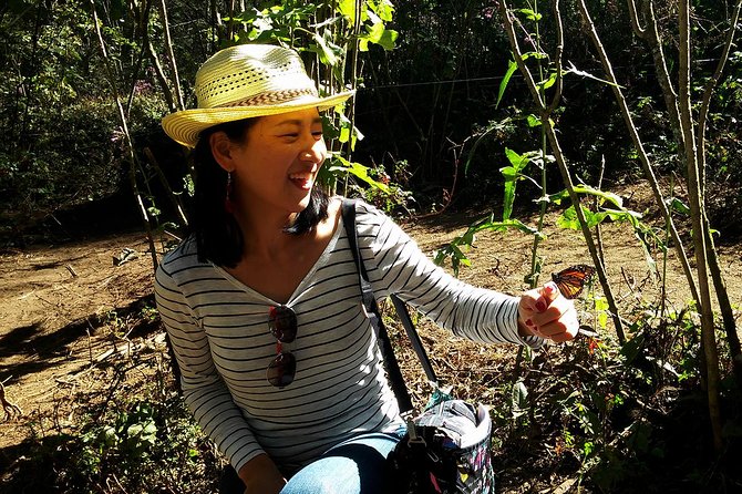 Butterfly Monarch Tour from Mexico City - When monarchs are active: season timing and weather can swing the day
