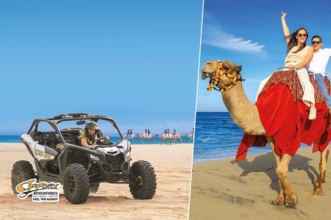 Cabo Adventure: Can-Am X3 Ride & Camel Beach Tour - Key things to know before you go