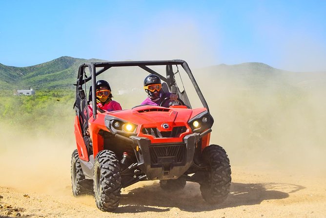 Cabo Adventure: Can-Am X3 Ride & Camel Beach Tour - How the Can-Am and camel format actually plays in Cabo