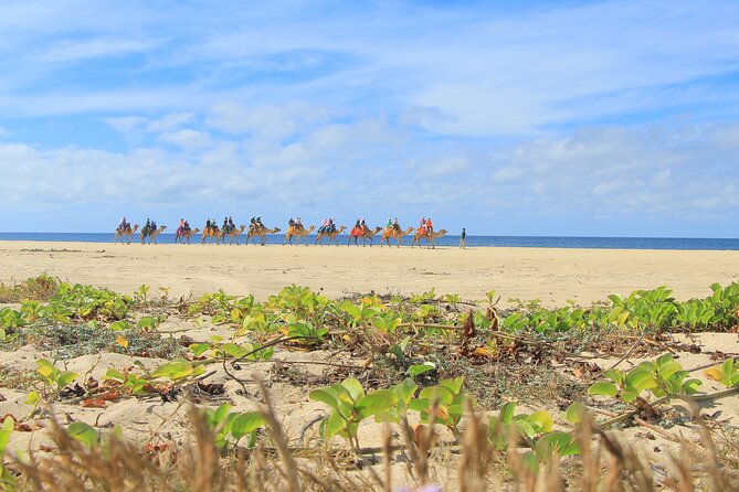 Cabo Adventure: Can-Am X3 Ride & Camel Beach Tour - Included food, tequila tasting, and the kids club advantage