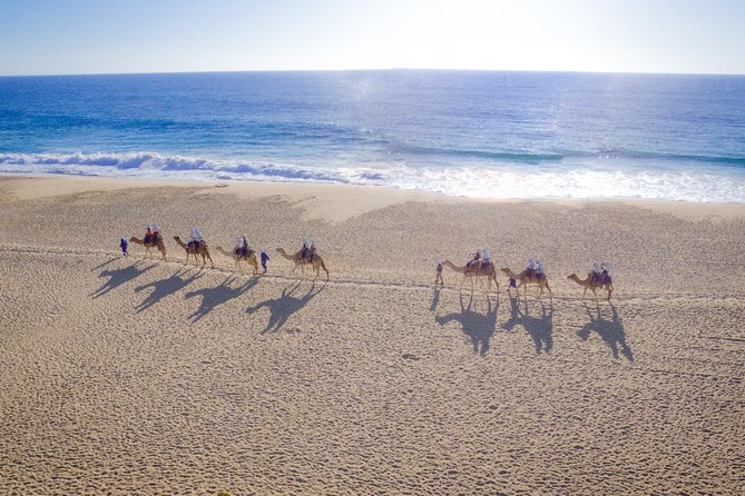 Cabo Beach Camel Ride, Mexican Buffet and Tequila Tasting - The ranch-to-beach camel ride you came for