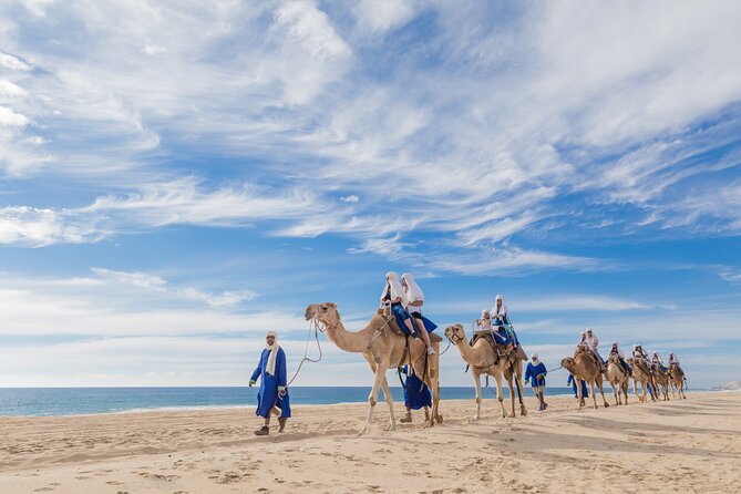 Cabo Beach Camel Ride, Mexican Buffet and Tequila Tasting - Pacific coastline drive, plus possible humpback whale sightings