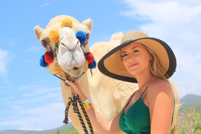 Cabo Beach Camel Ride, Mexican Buffet and Tequila Tasting - Mexican buffet lunch with ocean views, plus included drinks
