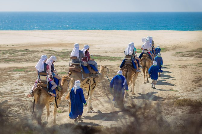 Cabo Beach Camel Ride, Mexican Buffet and Tequila Tasting - Price and logistics: what you pay, and what costs extra