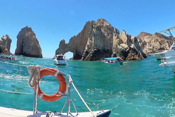 Cabo Blue Snorkeling Cruise, Open Bar and Lunch in Cabo San Lucas - Whale sightings: when the tour shifts from sightseeing to something wild