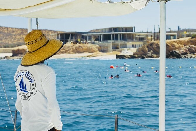 Cabo Blue Snorkeling Cruise, Open Bar and Lunch in Cabo San Lucas - Price and value: $79.80 makes sense if you want both sea and food