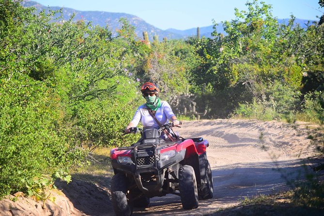Cabo Candelaria Village Adventure + Tequila Tasting - Tequila tasting: plan for it as part of the ride flow