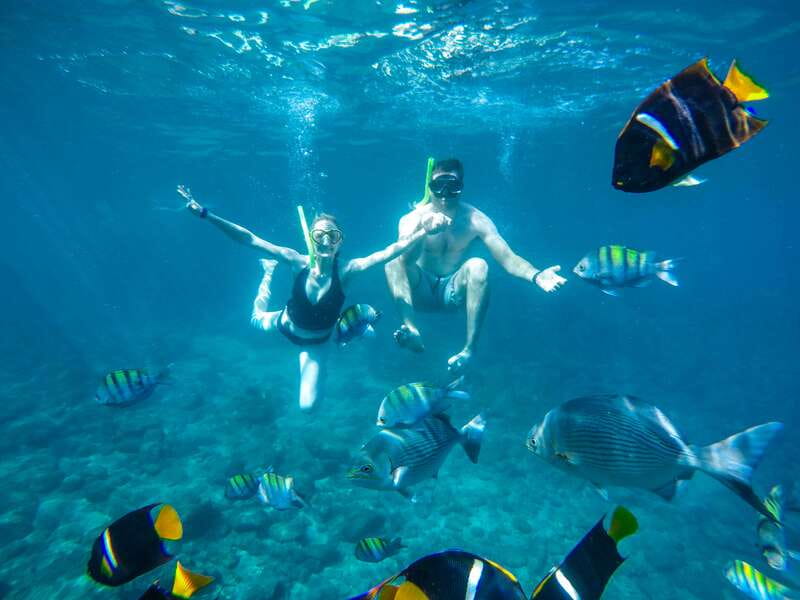 Cabo Catamaran Snorkel: Arch & Santa Maria, Open Bar, Snacks - From Marina Cabo San Lucas to a fast start at D Dock