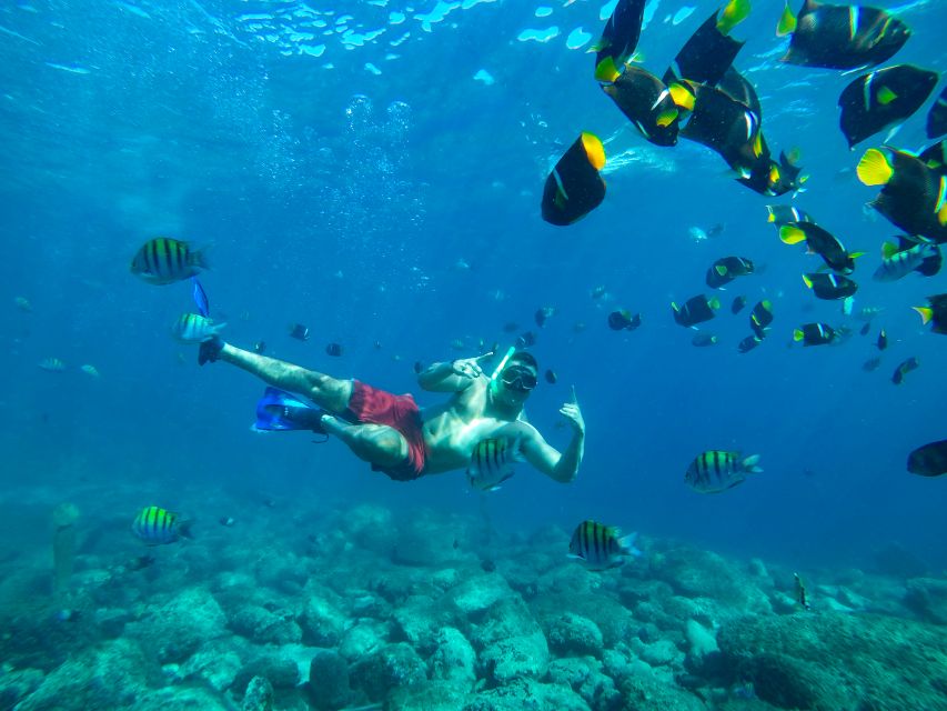 Cabo Catamaran Snorkel: Arch & Santa Maria, Open Bar, Snacks - What to bring, and small choices that improve your day