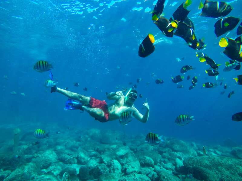 Cabo Catamaran Snorkel: Arch & Santa Maria, Open Bar, Snacks - Pricing and value: does $75 make sense?