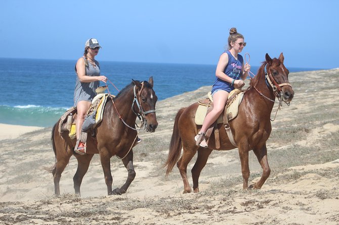 Cabo Desert Off-Road & Beach Horseback Combo and Tequila Tasting - Desert-to-ocean views: why the transition matters