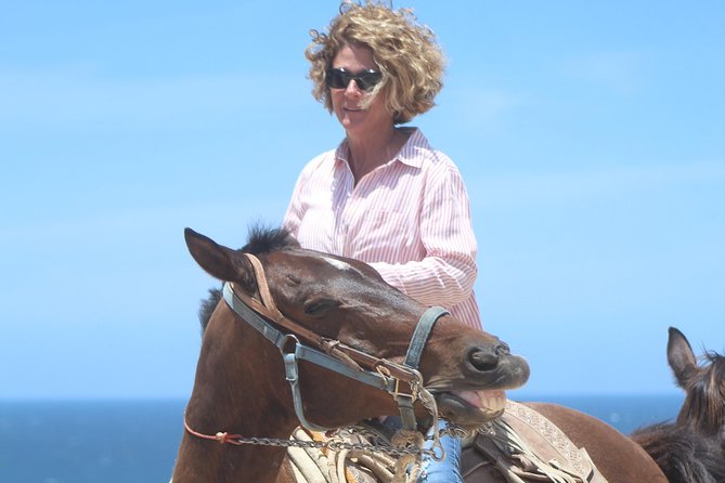 Cabo Desert Off-Road & Beach Horseback Combo and Tequila Tasting - Beach horseback riding on white sand, beginner comfort done right