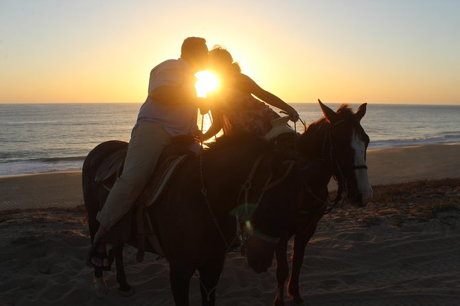 Cabo Desert Off-Road & Beach Horseback Combo and Tequila Tasting - Who this tour suits, and who should think twice